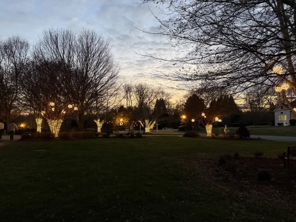 Exterior holiday lighting installed near sunset