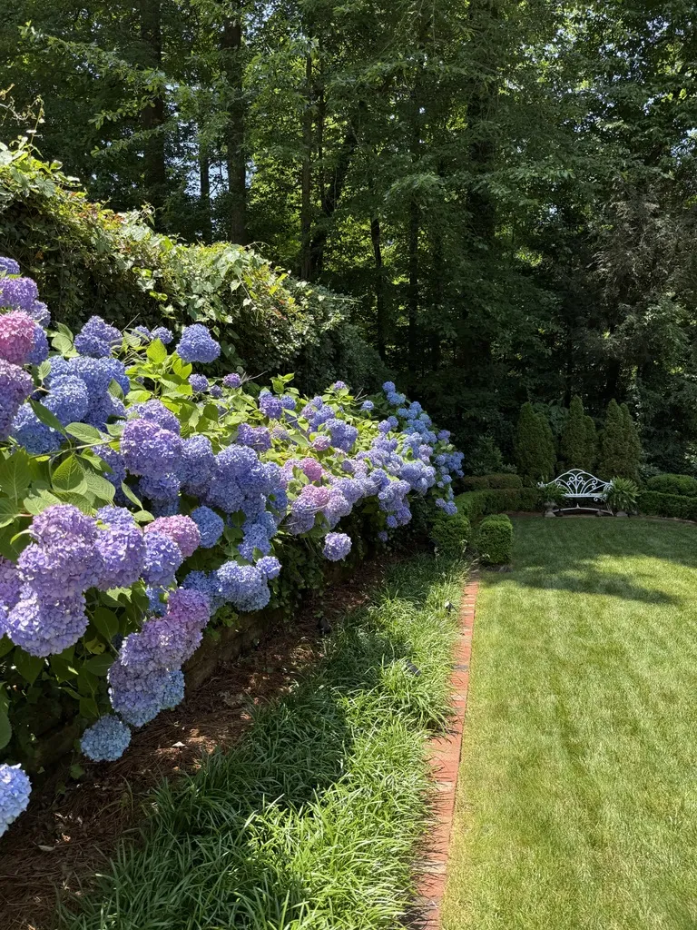 Commercial landscaping services in Greensboro