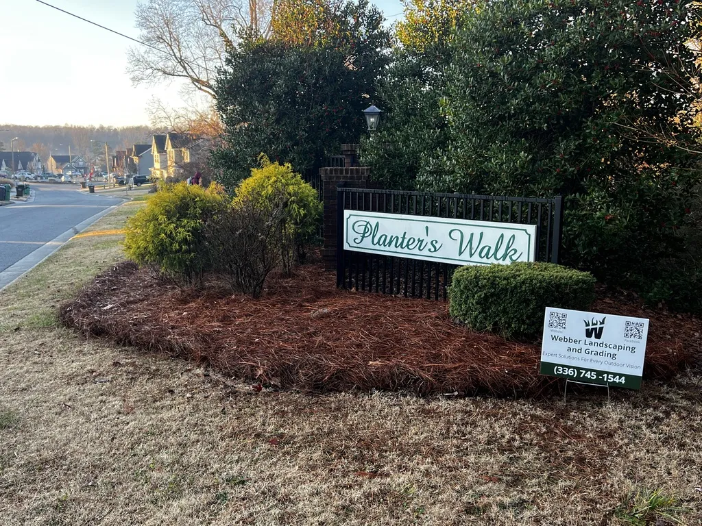 Commercial landscaping for HOA and shared common areas