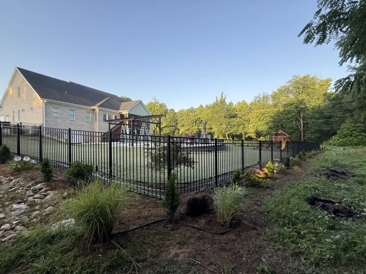 Landscape planting along fence in Summerfield NC