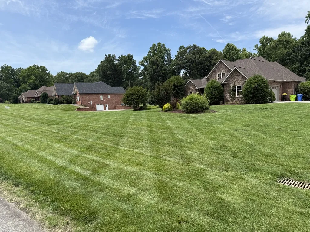 Maintained residential lawn with consistent mowing stripes