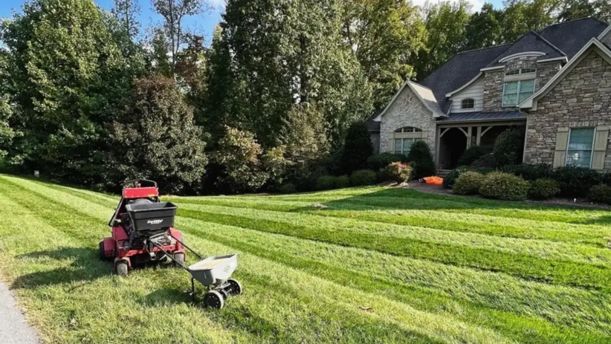 Freshly mowed residential lawn with clean striping
