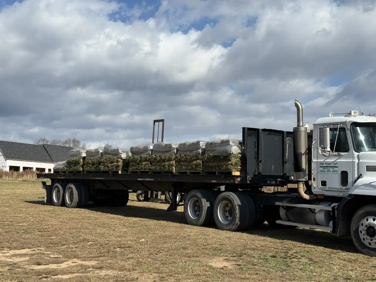 Sod delivery for Summerfield NC properties