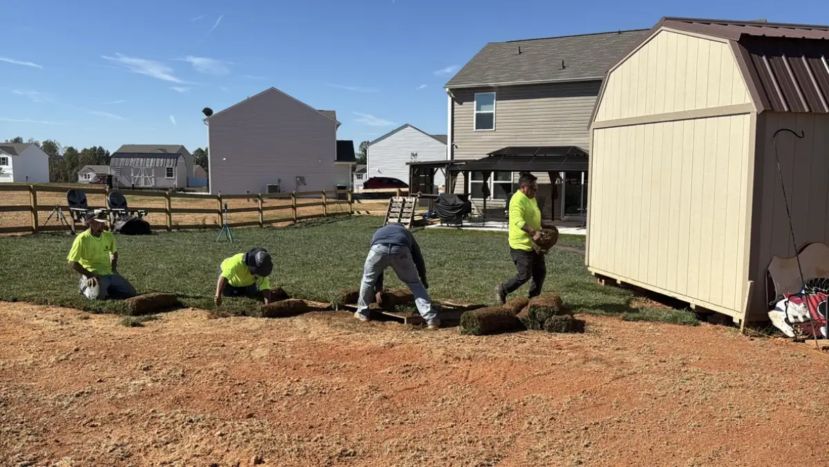 Webber Landscaping team installing sod